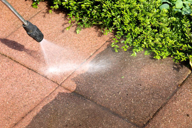 Best Pressure Washing Company Near Me  in Greensboro, AL